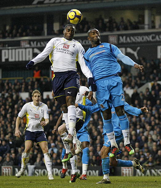 他的多样化 他的多样化